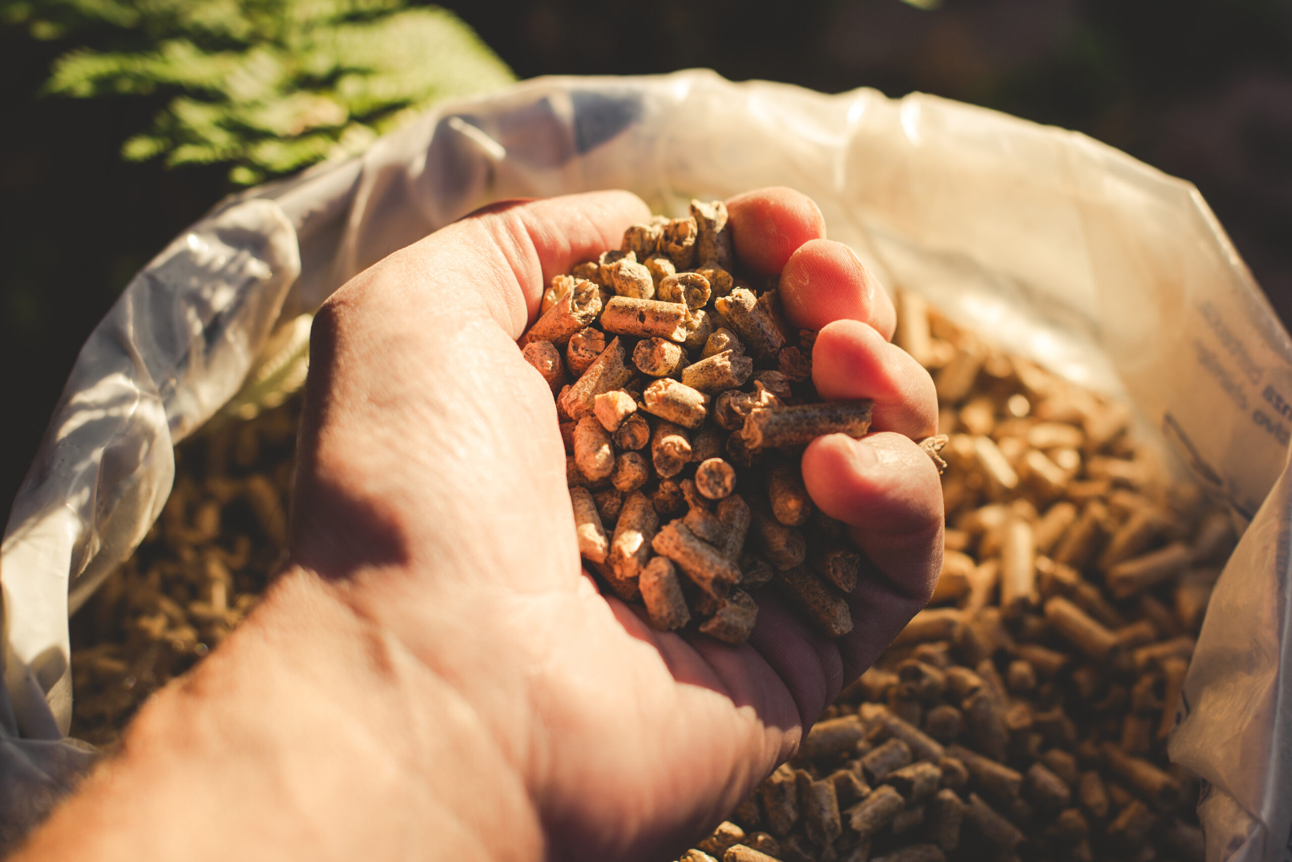 Control Union – Biomass