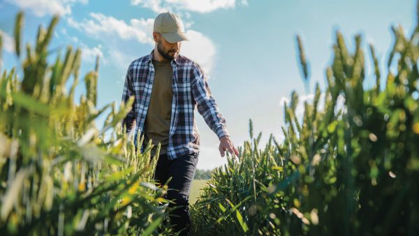 Agriculture-inspection